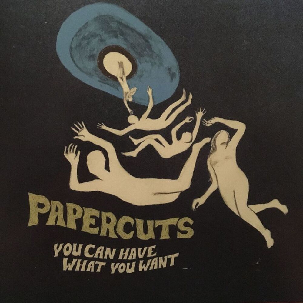 Papercuts - You Can Have What You Want  LP LP